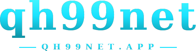 qh99net logo